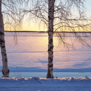 Luleå